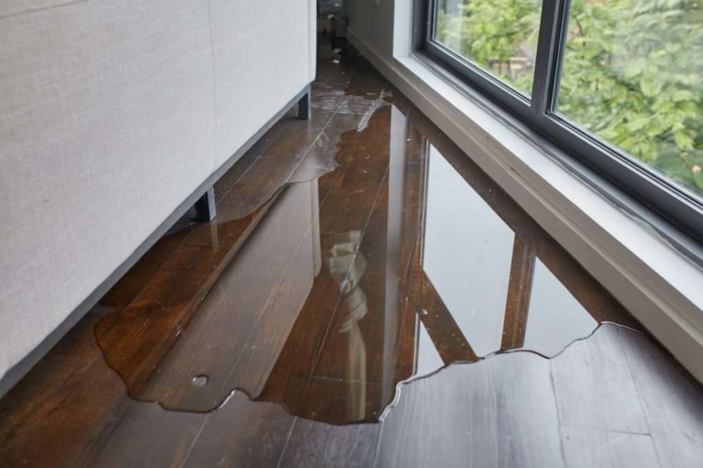 How to Deal with Flood Damage | Terry's Floor Fashions