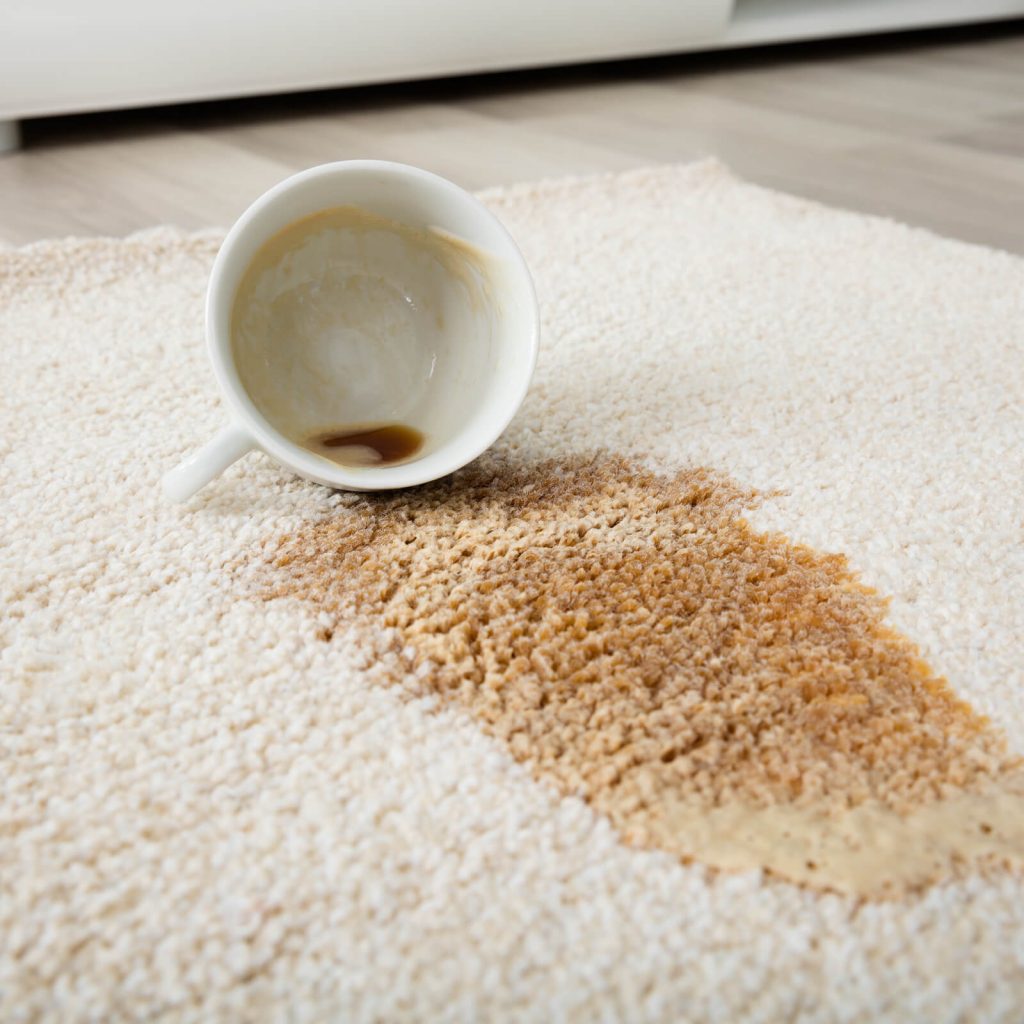 5 Signs it’s Time for a Professional Rug Cleaning | Terry's Floor Fashions