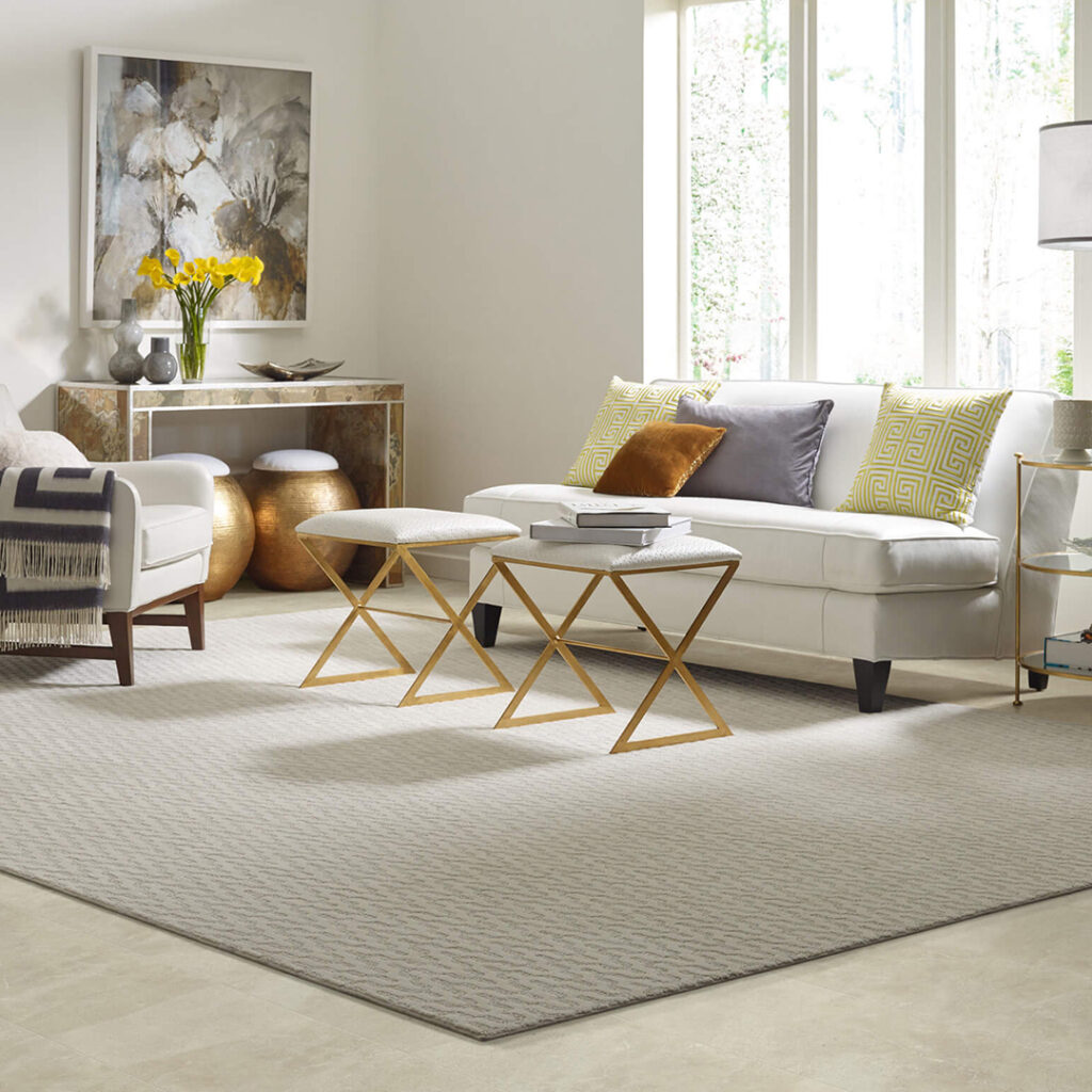 Area Rug | Terry's Floor Fashions