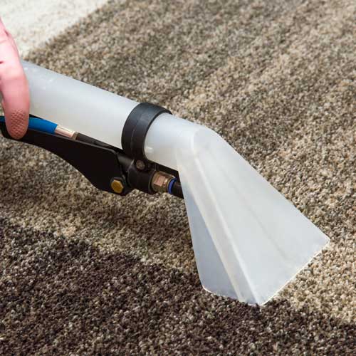 Carpet Cleaning | Terry's Floor Fashions