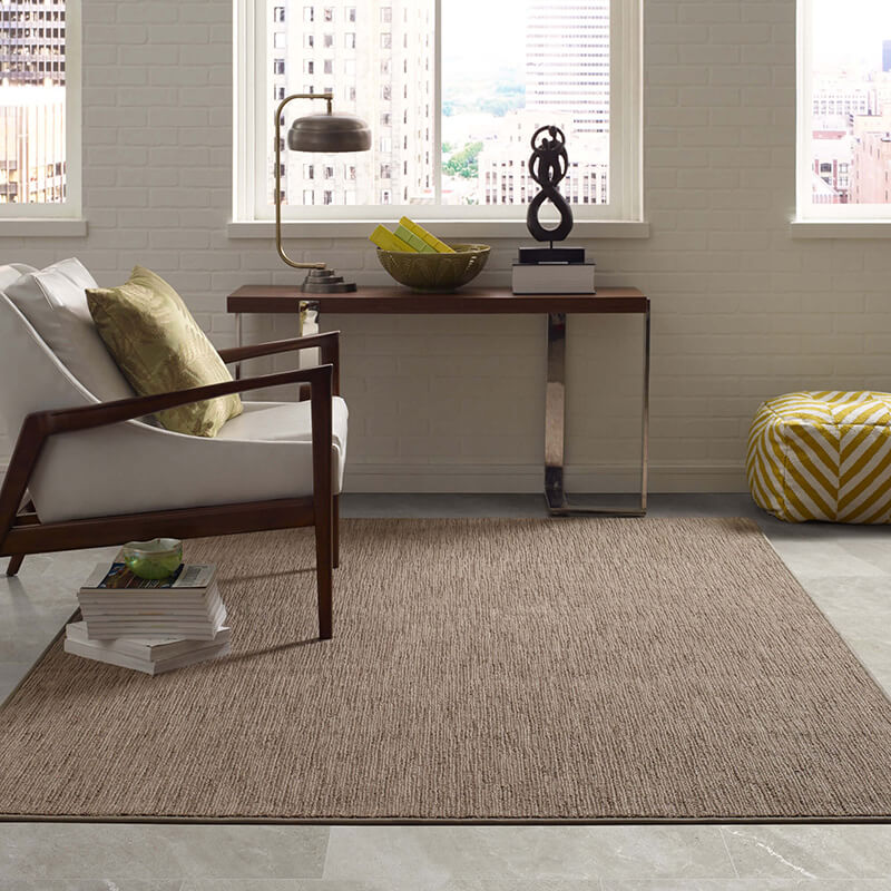 Area Rug | Terry's Floor Fashion