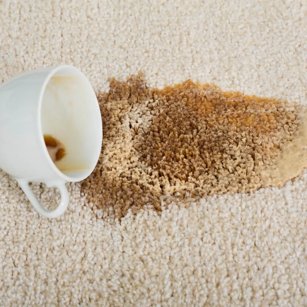 Coffee Stain on Carpet Flooring | Terry's Floor Fashions