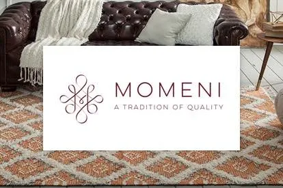 Momeni | Terry's Floor Fashions
