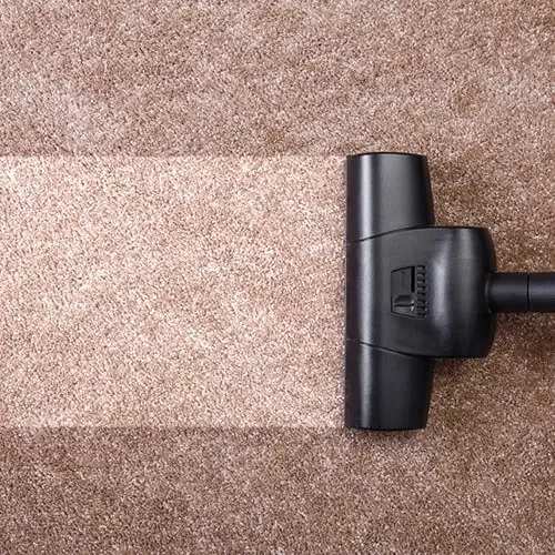 Carpet Cleaning | Terry's Floor Fashions