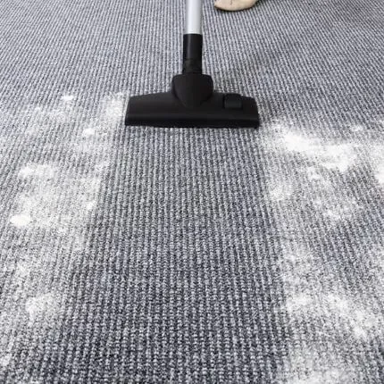 Carpet Daily Care & Maintenance | Terry's Floor Fashions