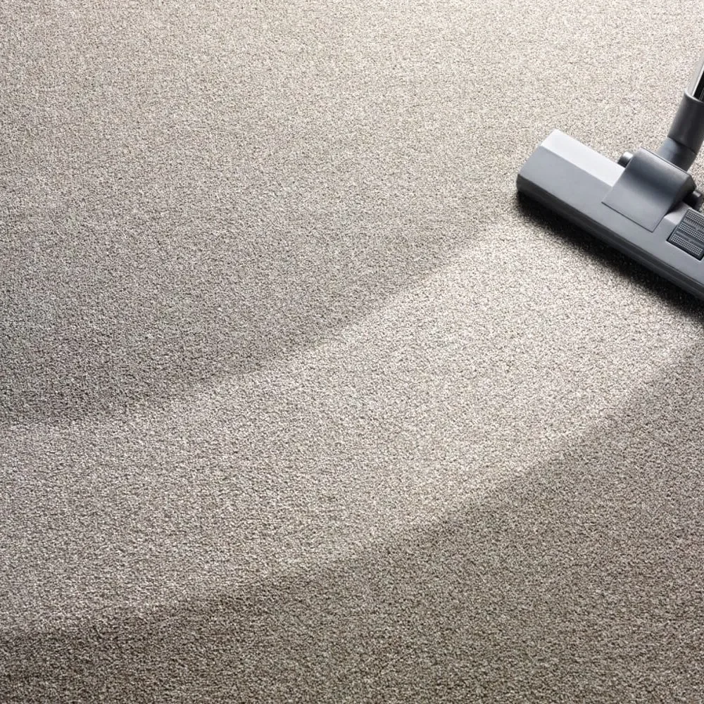 Carpet Cleaning | Terry's Floor Fashions